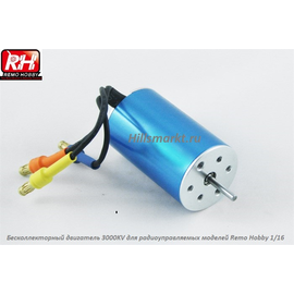 E9631 Бесколлекторный двигатель для Remo Hobby S-evor 1/16