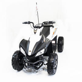 Детский спортивный электроквадроцикл Dongma ATV Brushless 12V - DMD-278A-WHITE