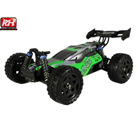 Радиоуправляемая багги Remo Hobby Dingo V2.0 (зеленая) 4WD 2.4G 1/16 RTR RH1651V2-GREEN